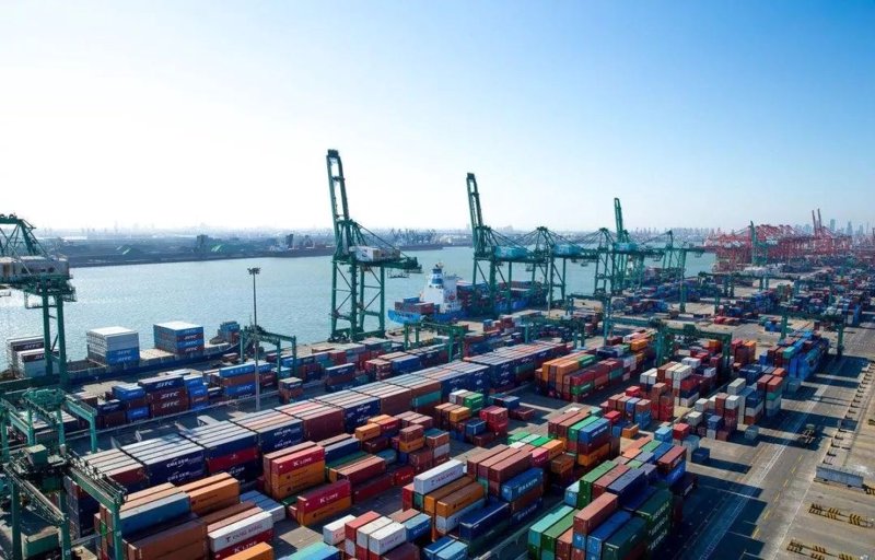中国品牌力量：上海锦桢实业有限公司引领行业新趋势